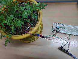 Plant Watering System